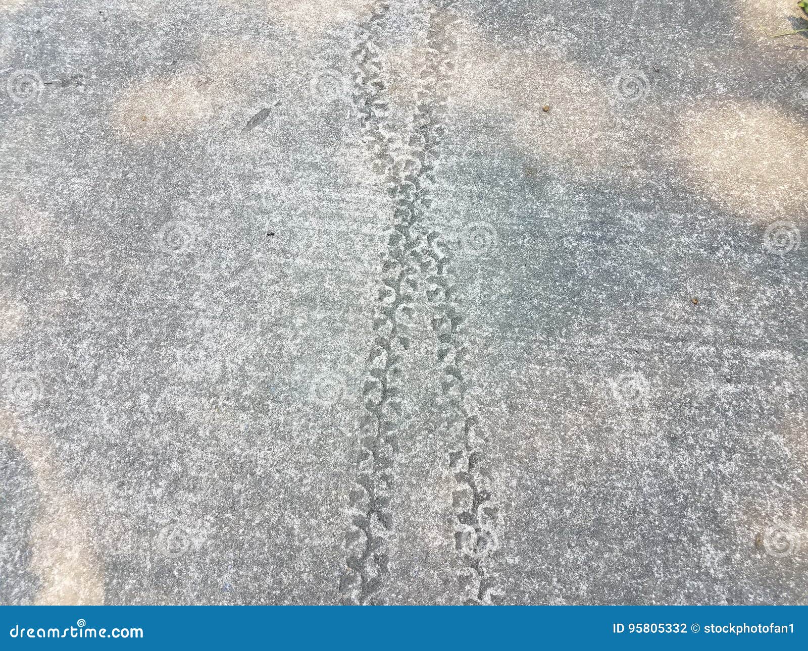 Bike Tire Tracks Stock Photos Download 452 Royalty Free Photos