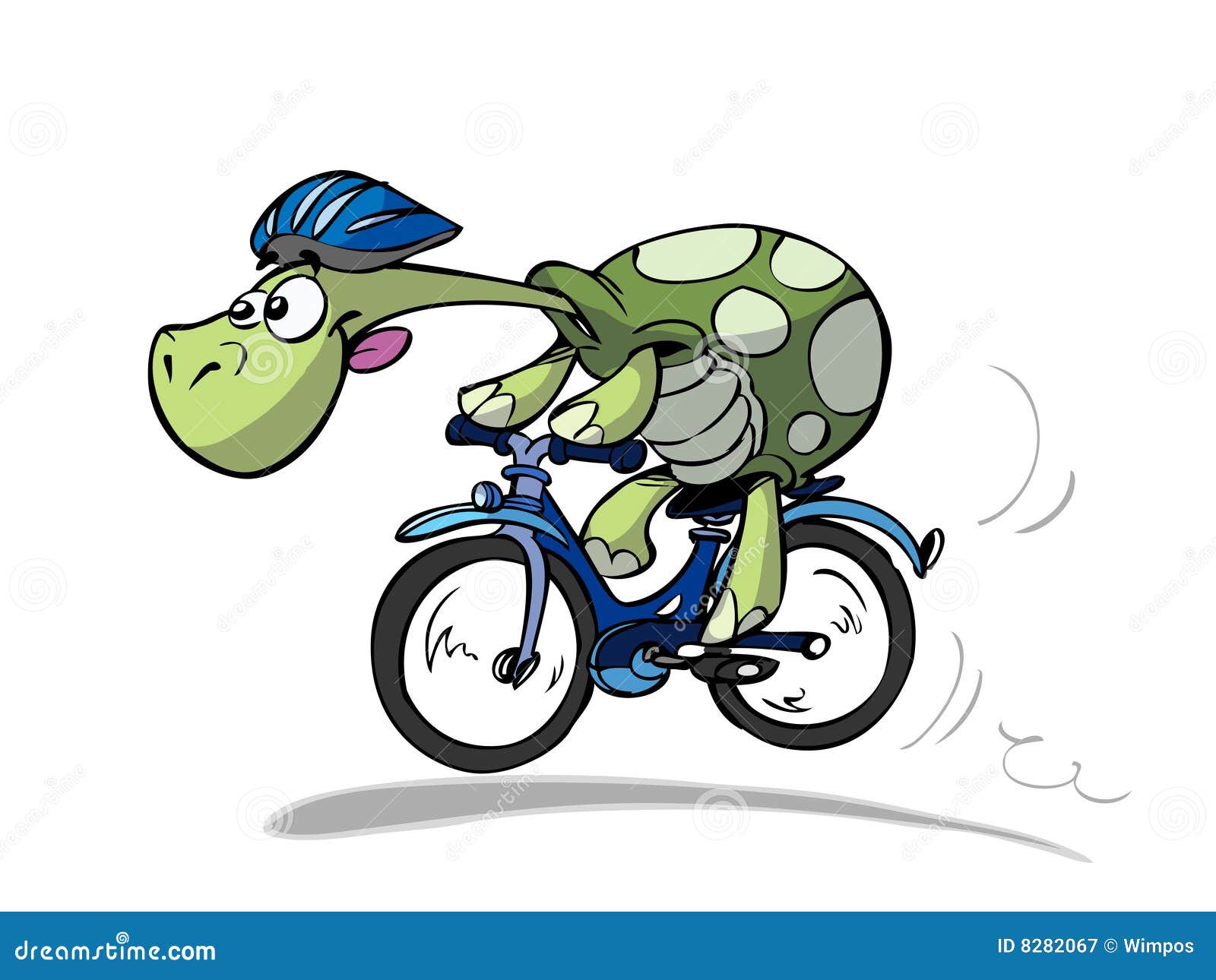 bike turtle