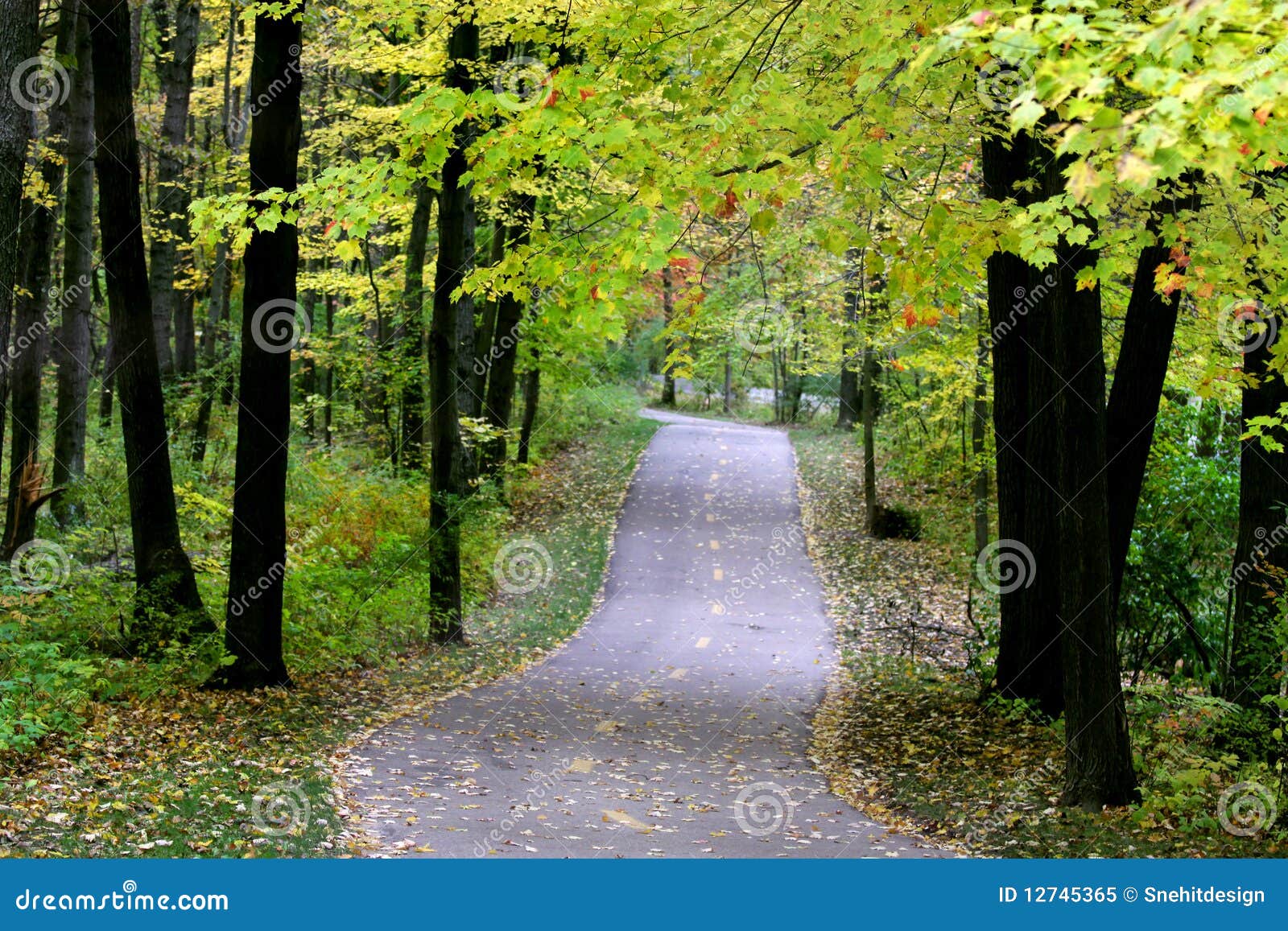 Bike way in woods stock image. Image of leisure, journey - 12745365