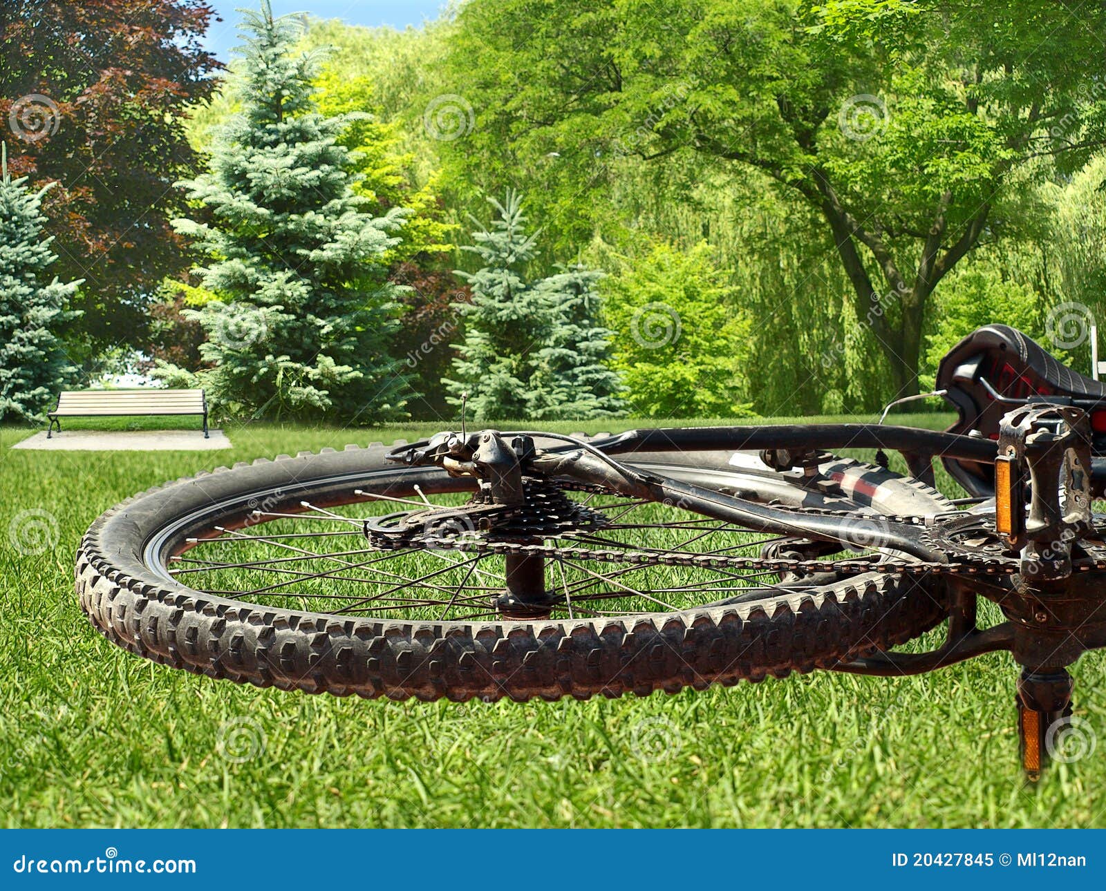 Bike wheel stock image. Image of ride, outdoor, detail 20427845