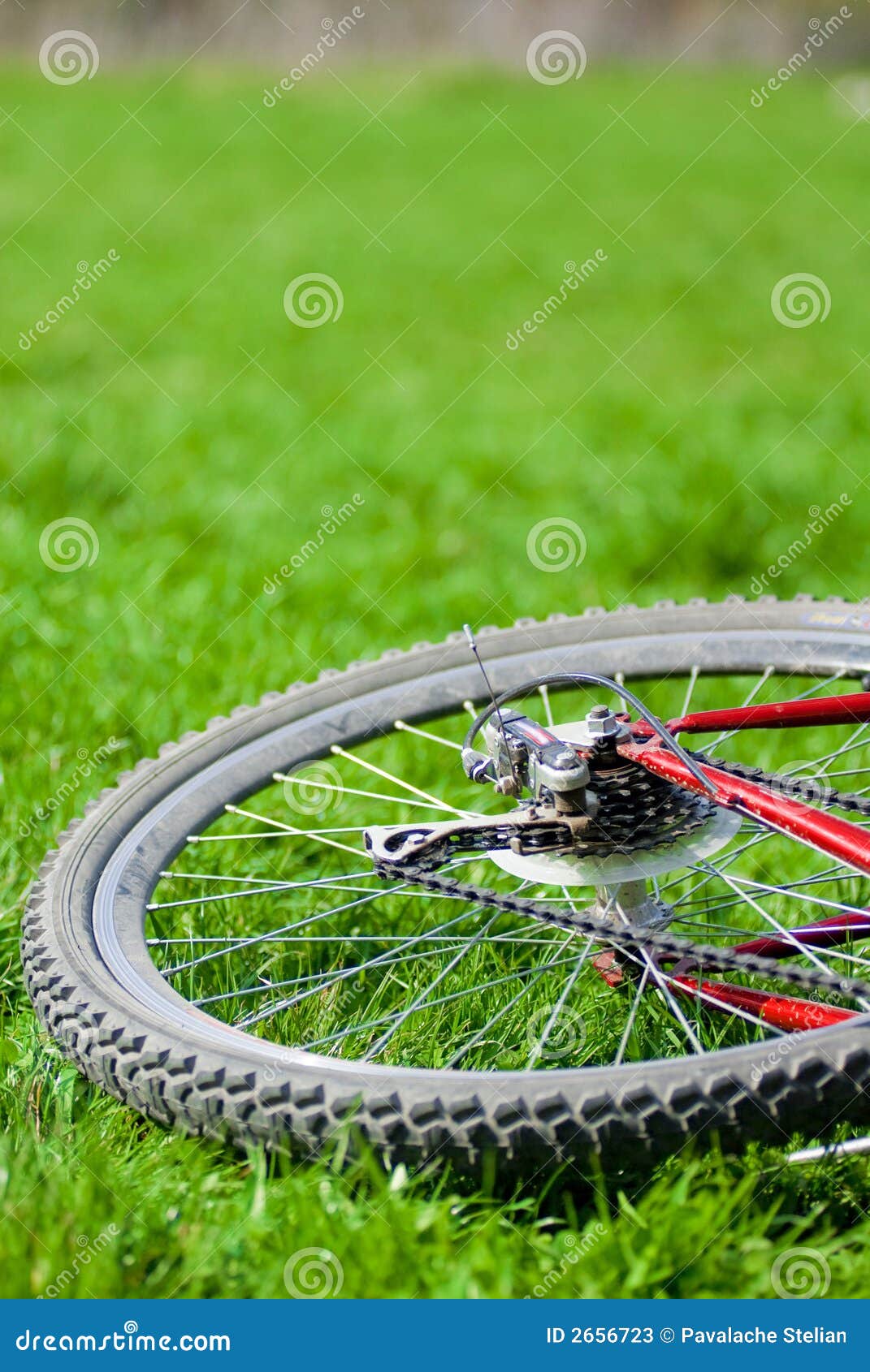 Bike Wheel Track On Dry Crack Soil Stock Photo