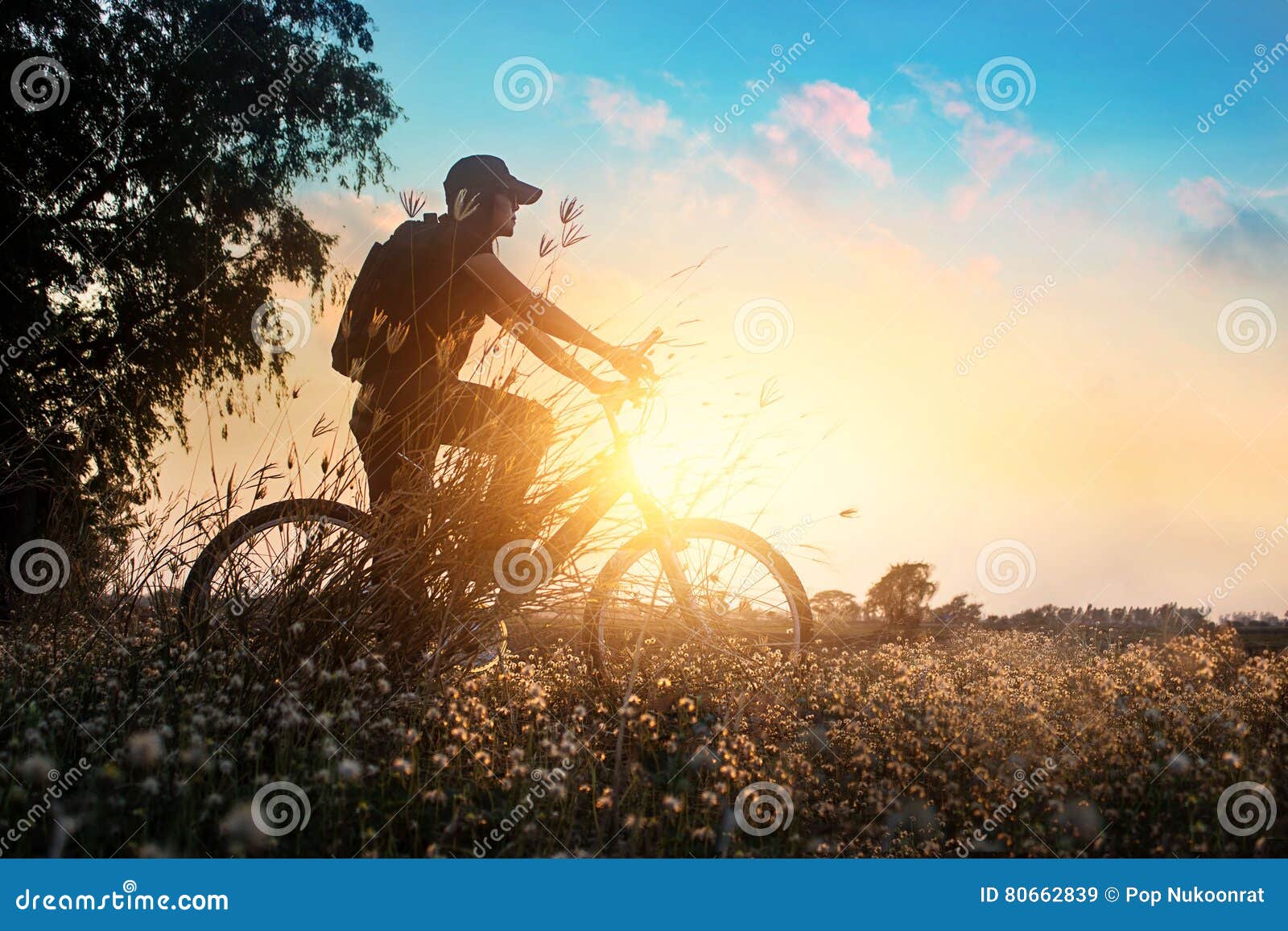 biker on mountain bike adventure in beautiful flowers nature of summer sunset