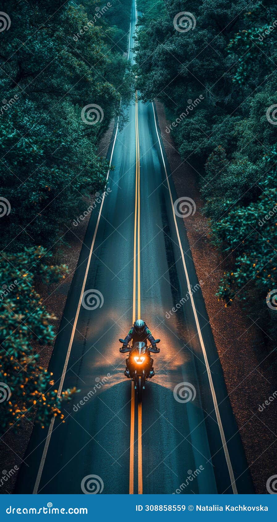 biker on the night road