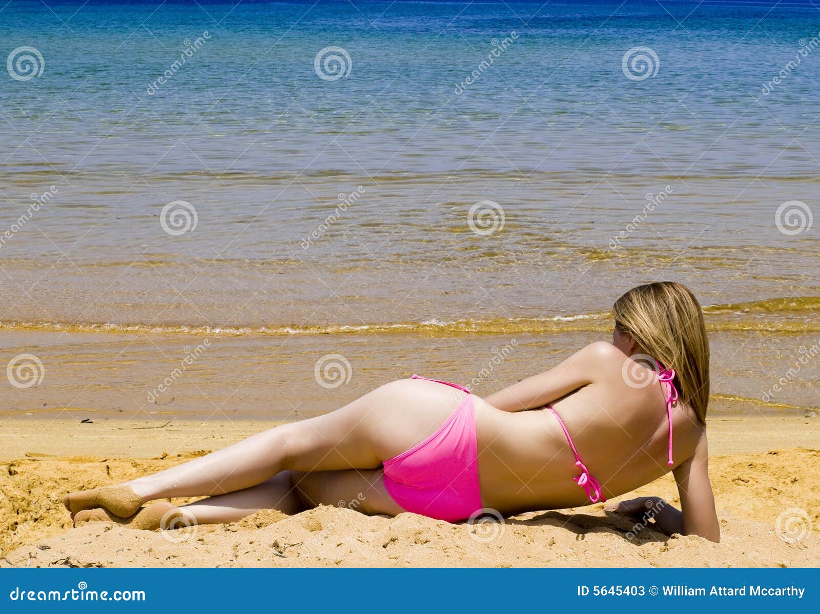 Bikini Babe Stock Image CartoonDealer #10049455