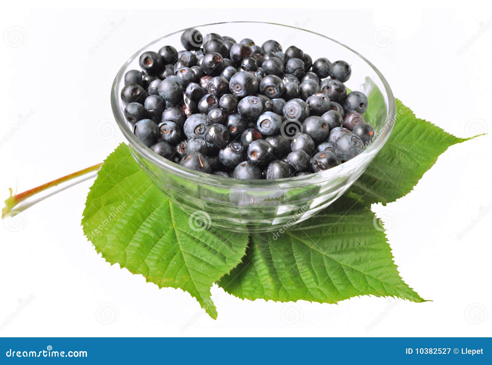 Bilberry stock image. Image of dessert, ripe, berries 10382527