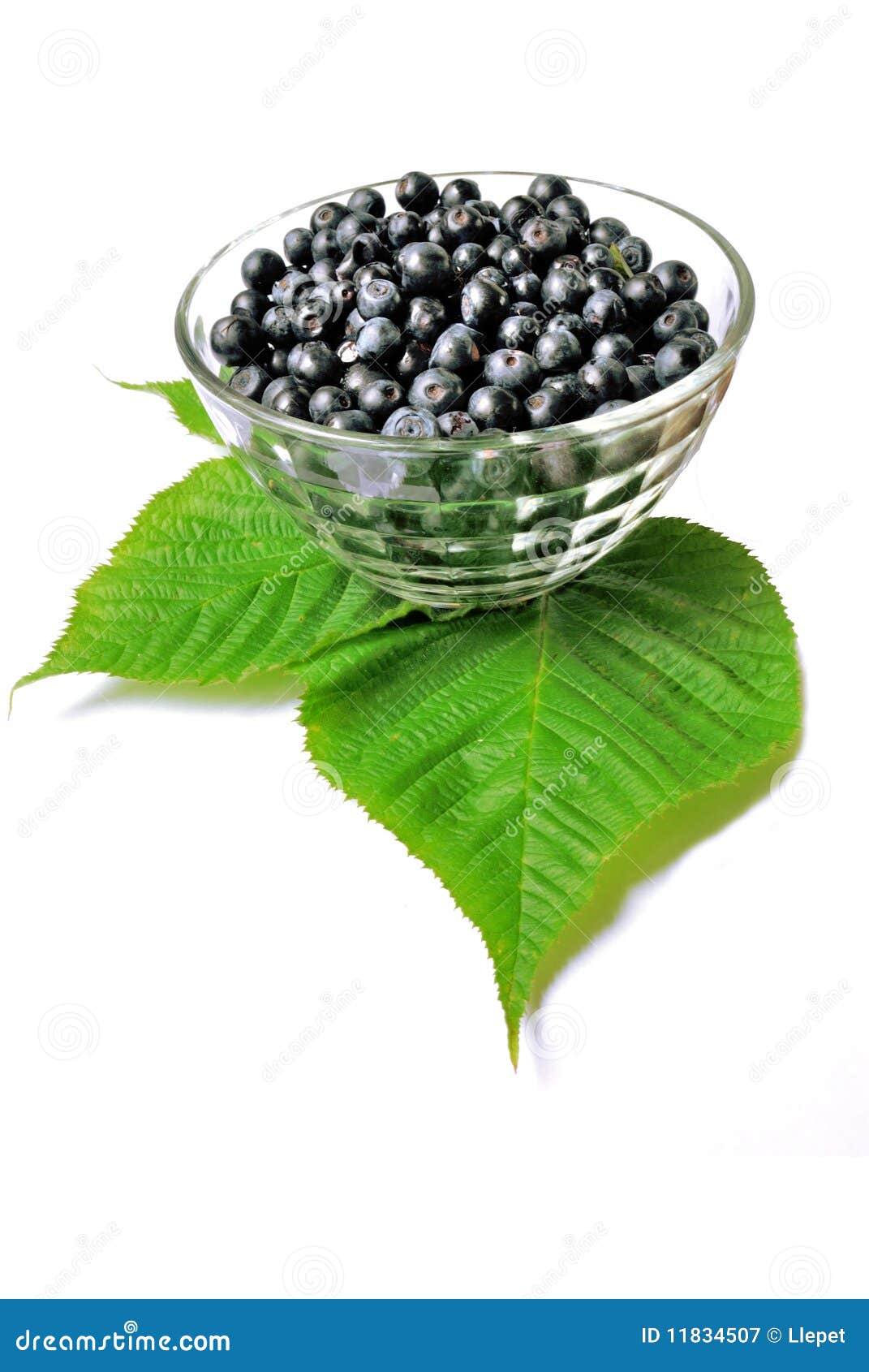 Bilberry stock image. Image of berry, fresh, fruit, berries 11834507