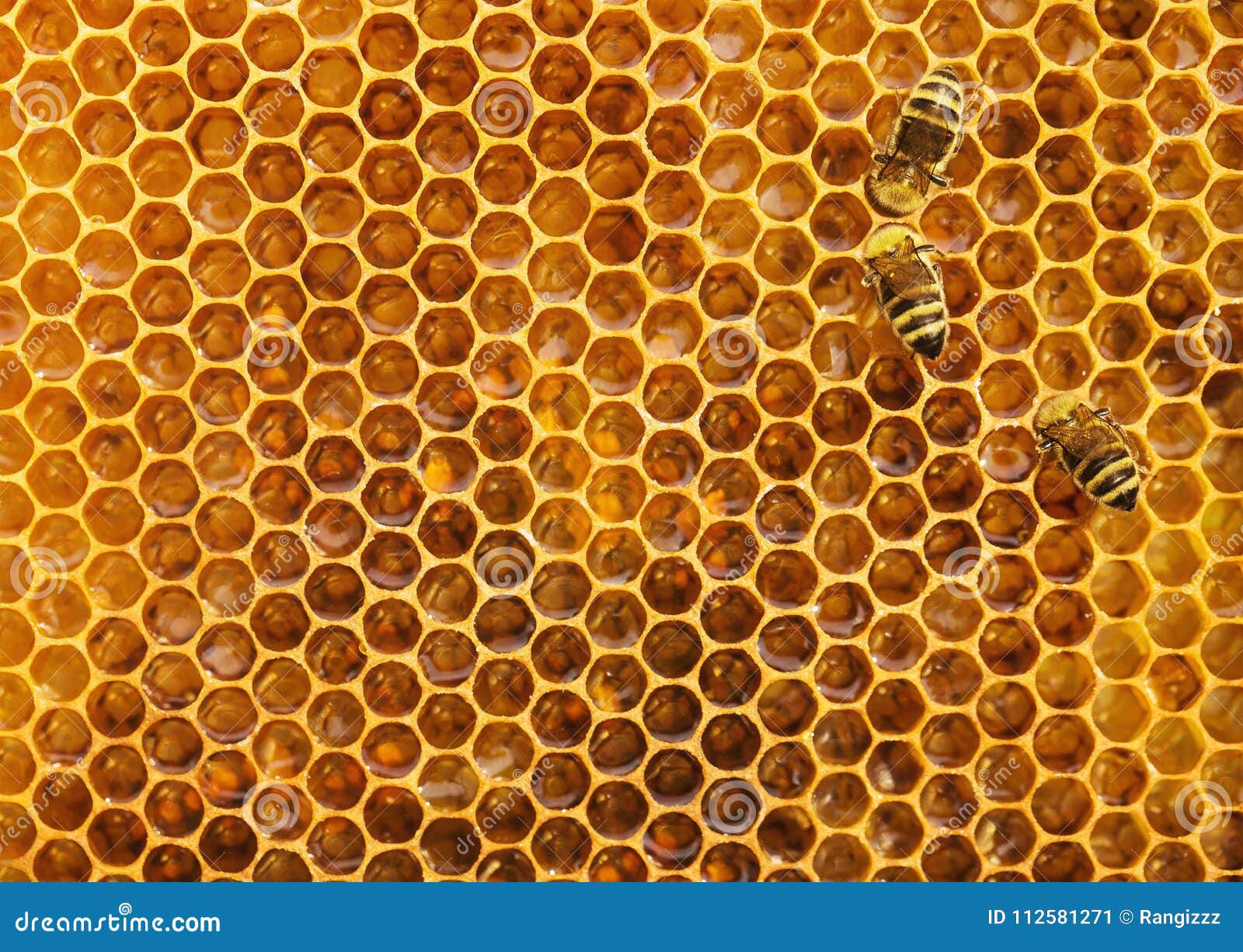 Bild Der Bienenwabe Background Stockbild Bild Von Background Bienenwabe