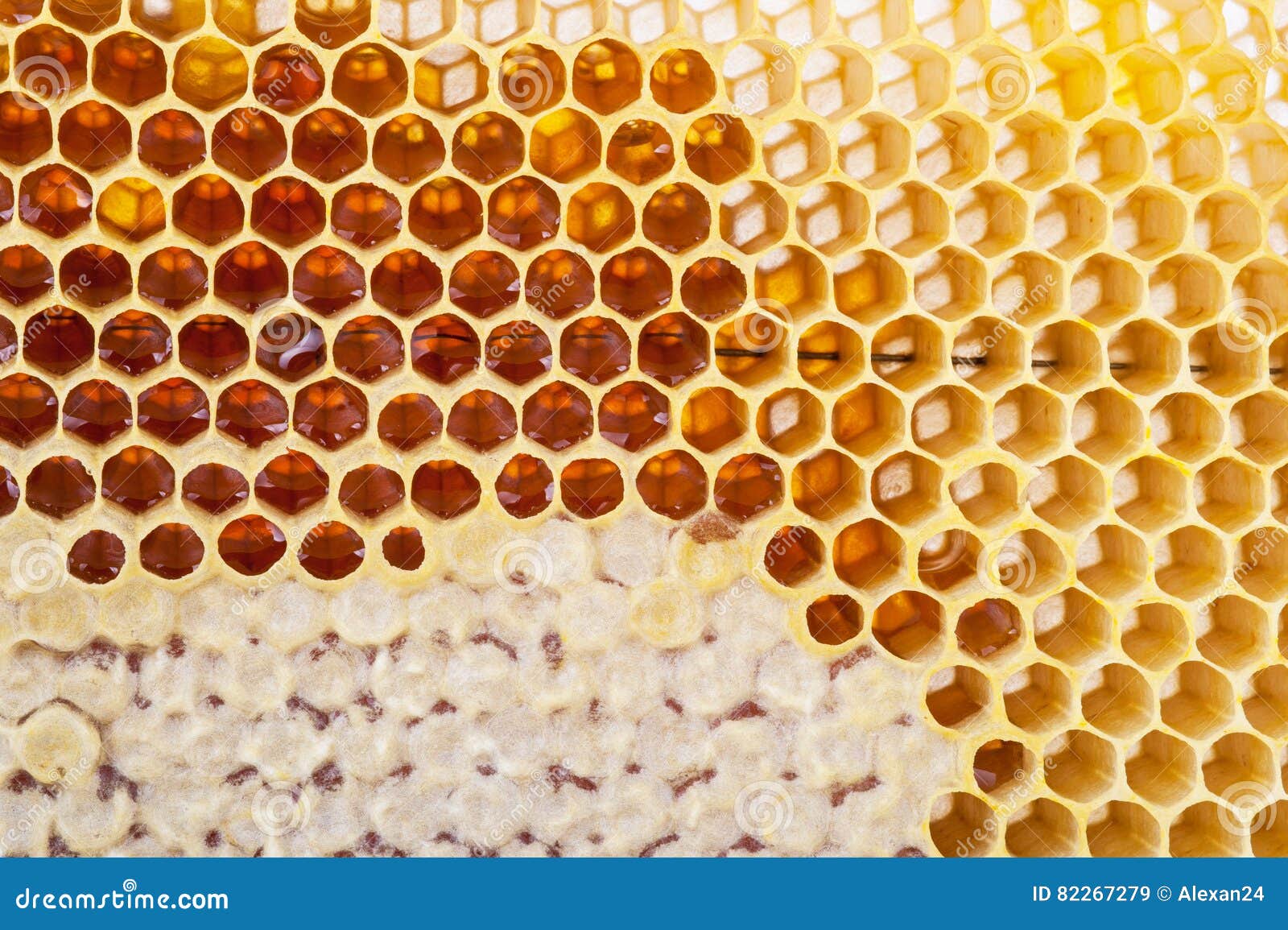Bild Der Bienenwabe Background Stockbild Bild Von Bienenwabe Background