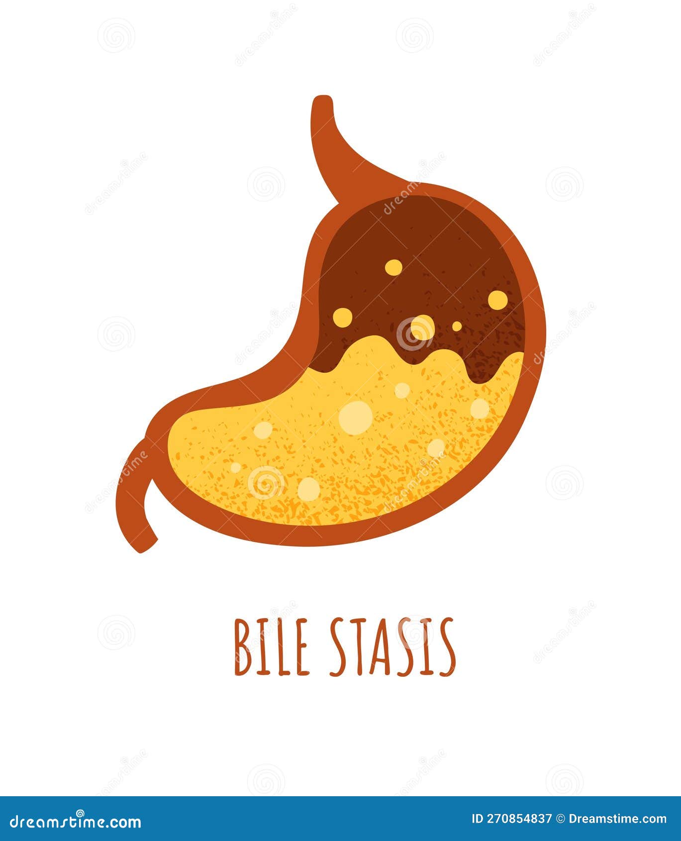 bile stasis stomach concept