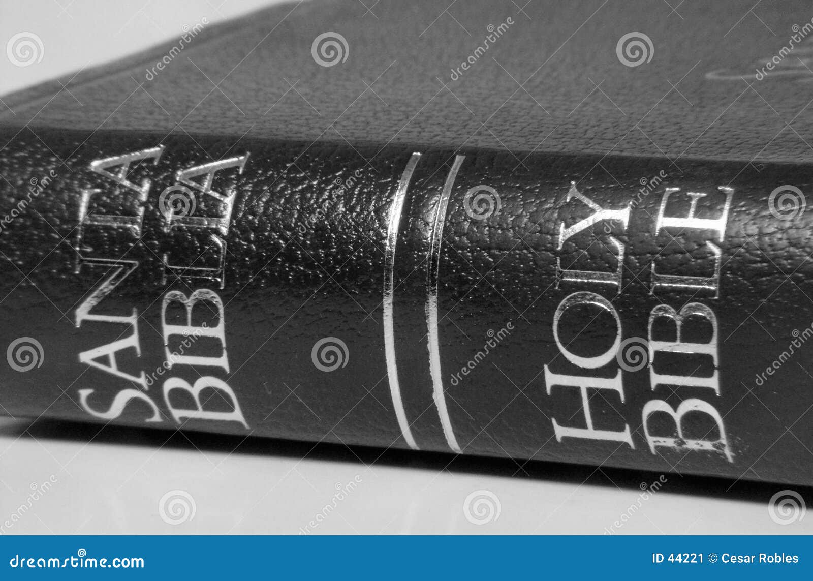 bilingual bible