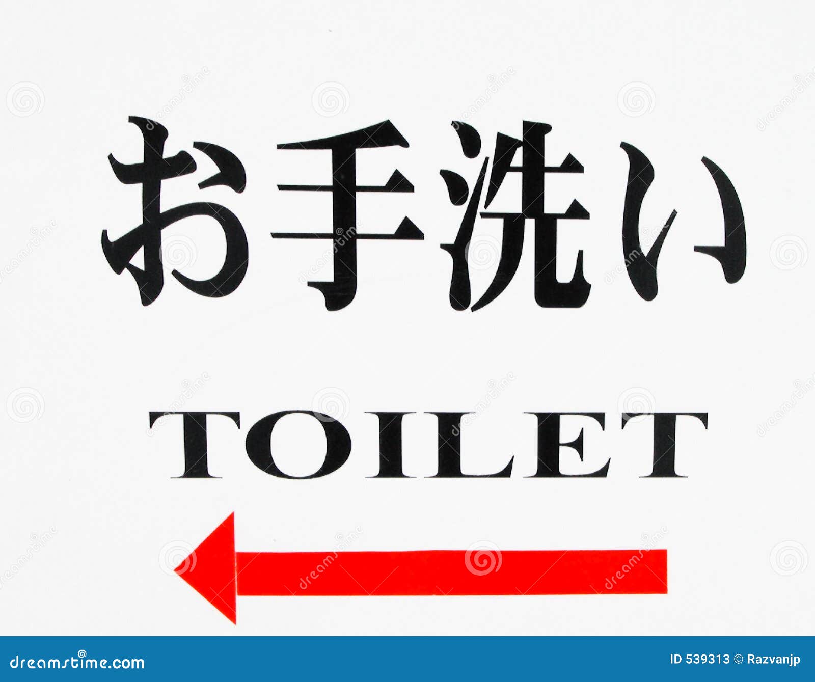 bilingual toilet indicator