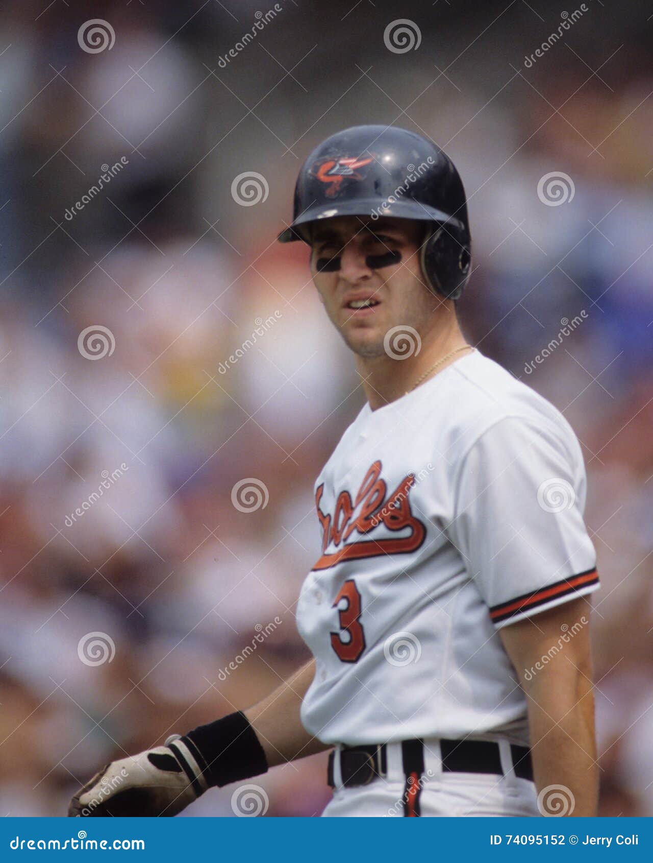 Bill ripken deals