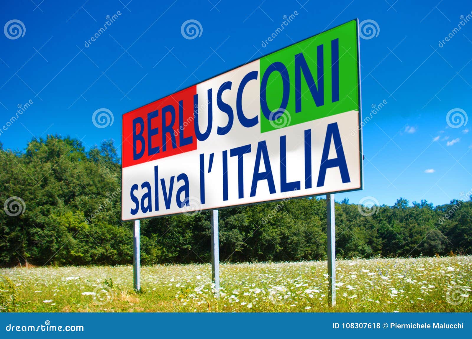 in the next elections save italy, vote berlusconi, forza italia