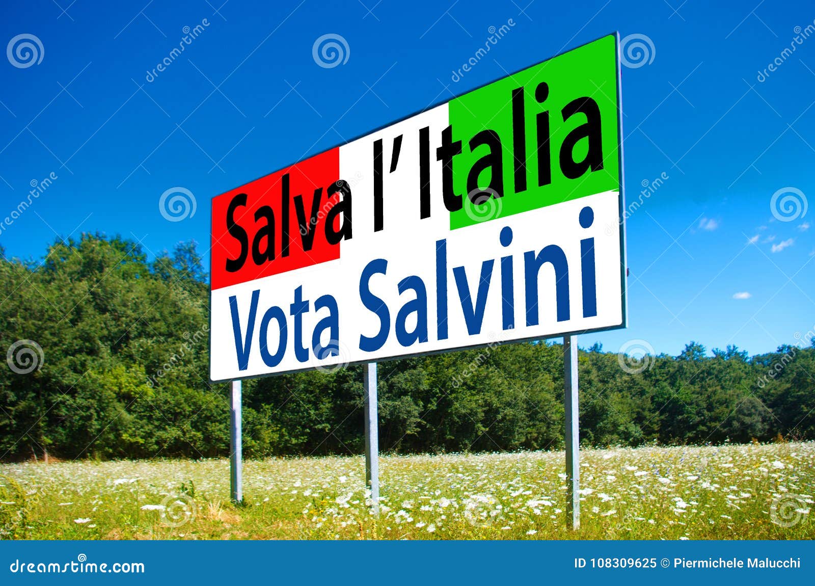 in the next elections save italy, vote lega nord, salvini