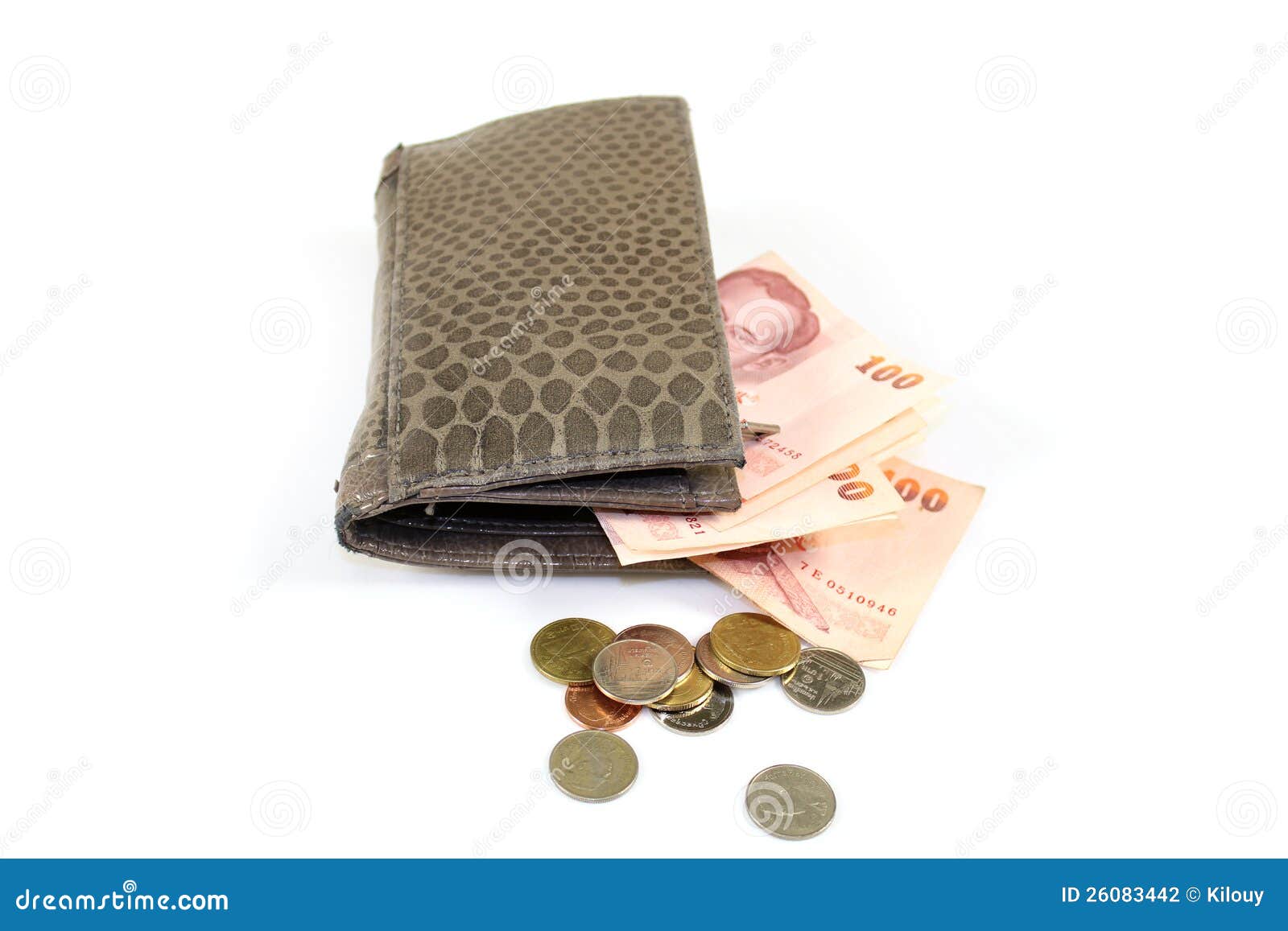 Billfold stock photo. Image of busy, wallet, currency - 26083442