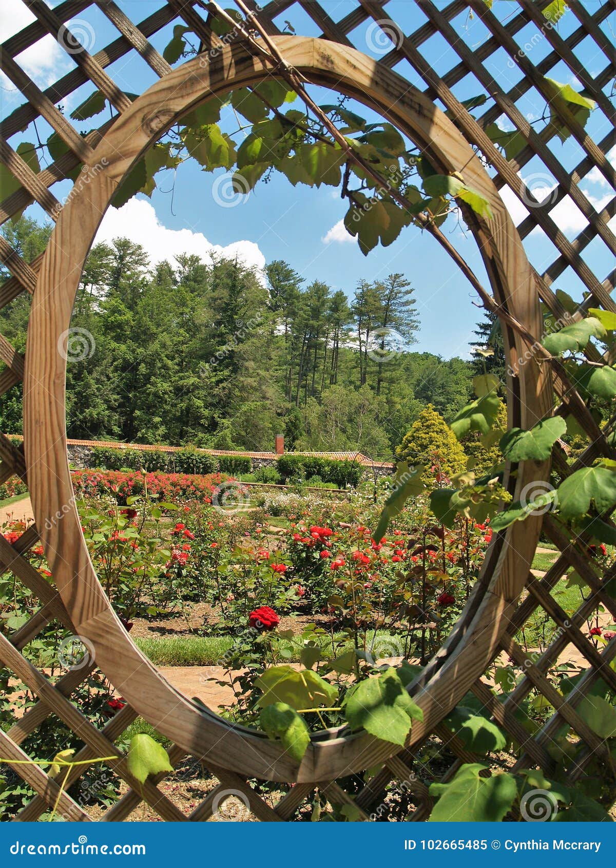 Biltmore House And Gardens Editorial Image Image Of Castle