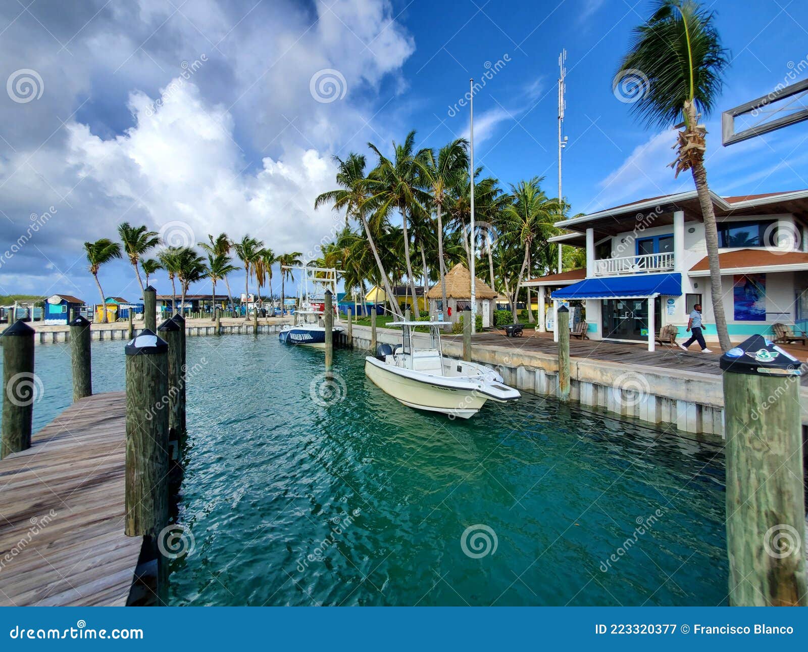 bimini yacht club