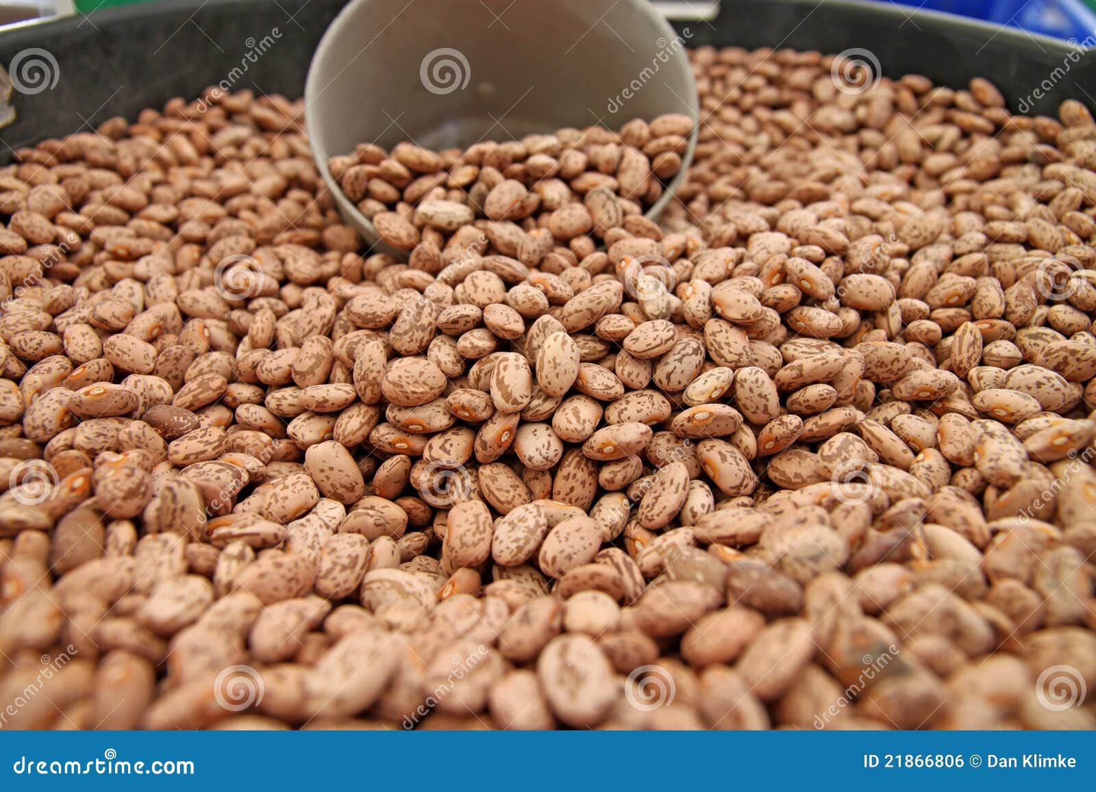 Bin of Beans stock photo. Image of closeup, textured 21866806