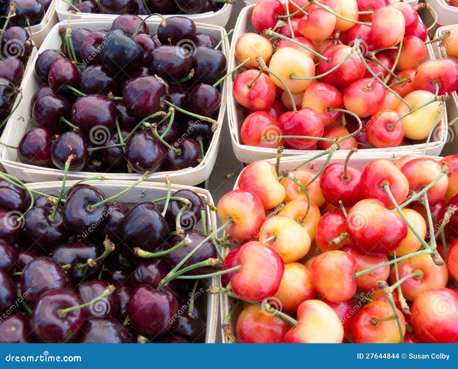 Bing y cerezas más lluviosas. Cerezas de bing rojo oscuro y cerezas más lluviosas rojas y amarillas en el mercado de los granjeros