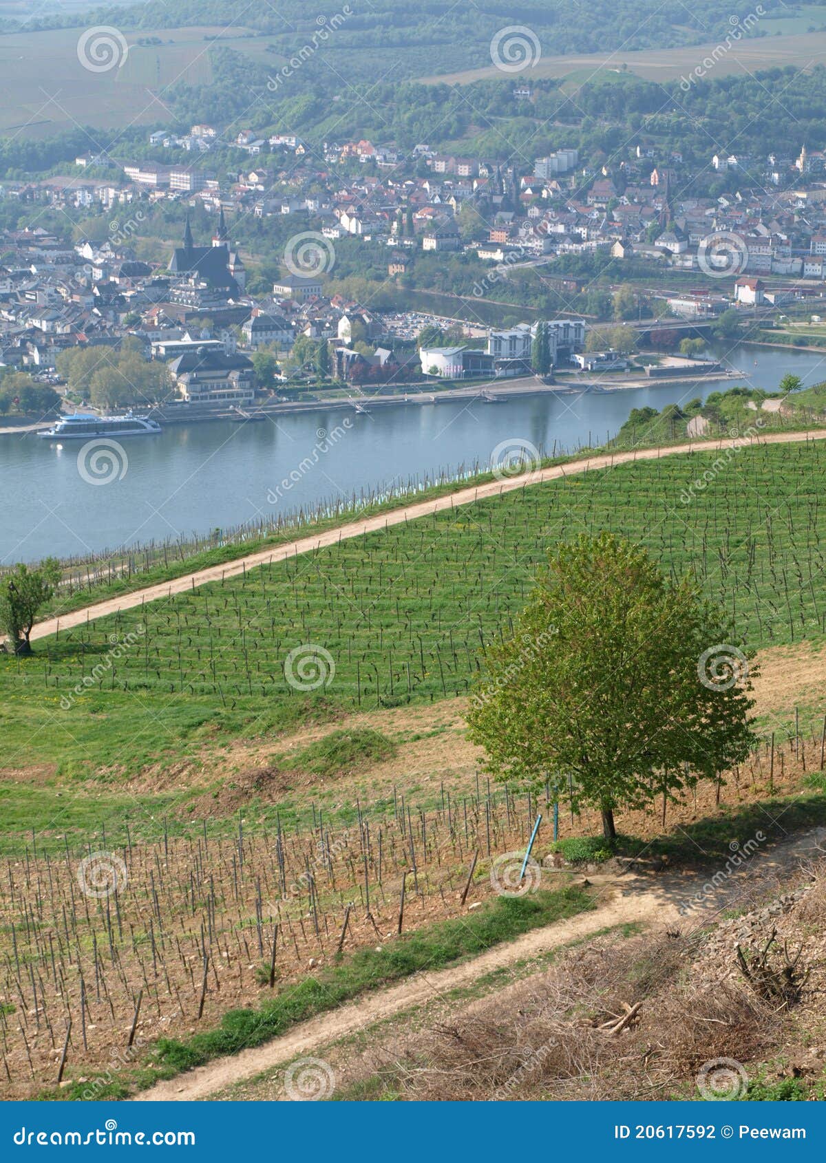 Bingen arkivfoto. Bild av romantiker, turist, rhineland 20617592