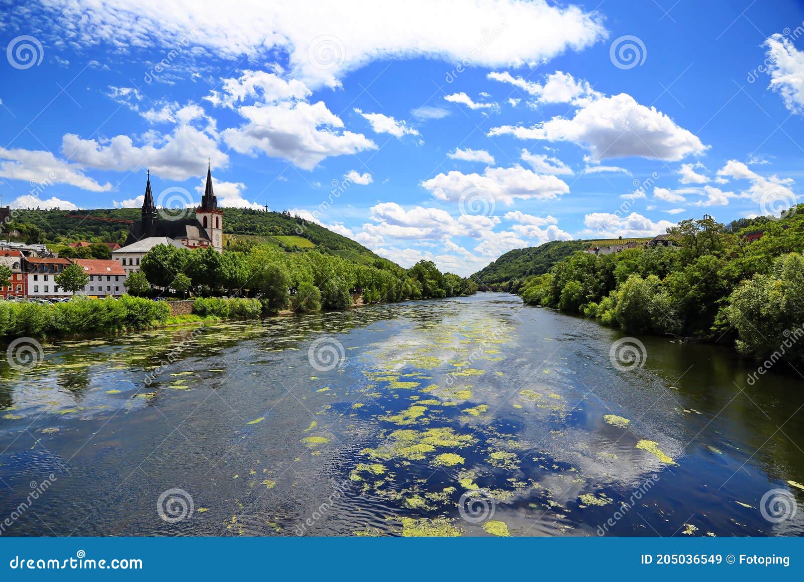 bingen am rhein is a city in rhineland-palatinate