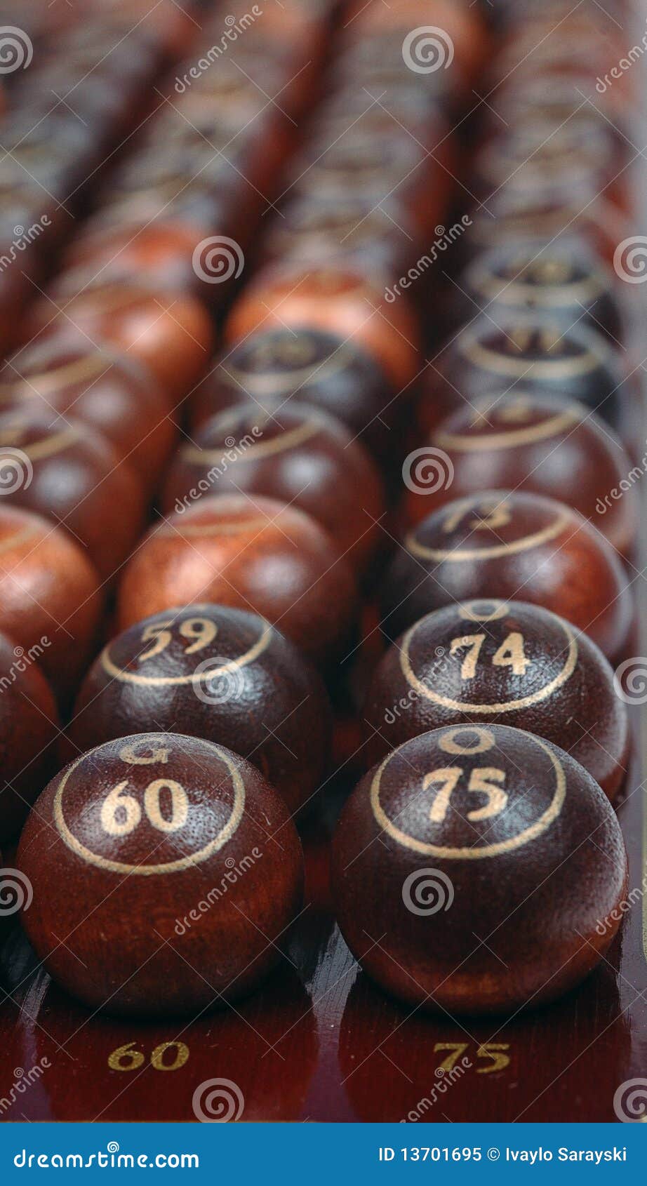 Bingo Bingo