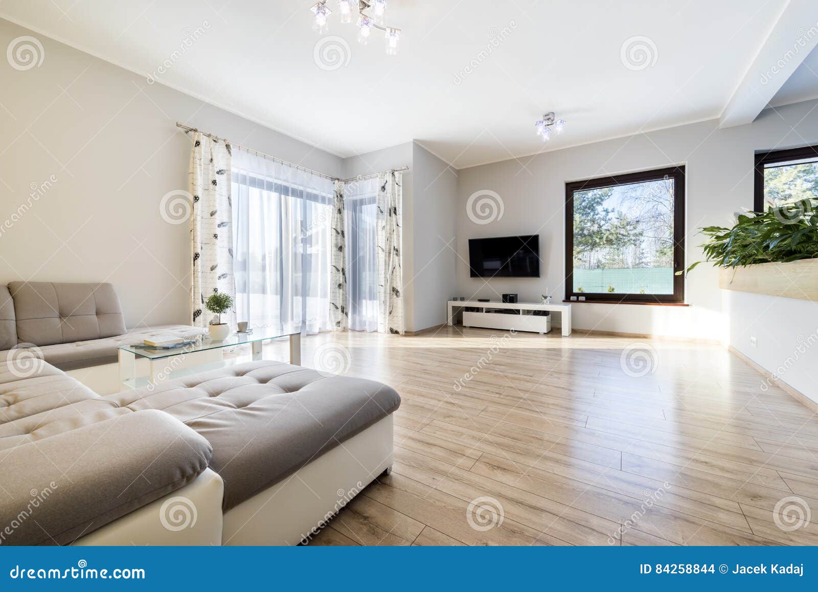 Welp Binnenlandse Moderne Woonkamer Met Houten Vloer Stock Foto EA-23