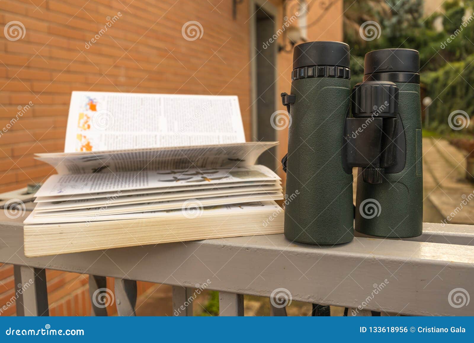 Binoculars and Bird Guide stock photo. Image of ornithologist 133618956
