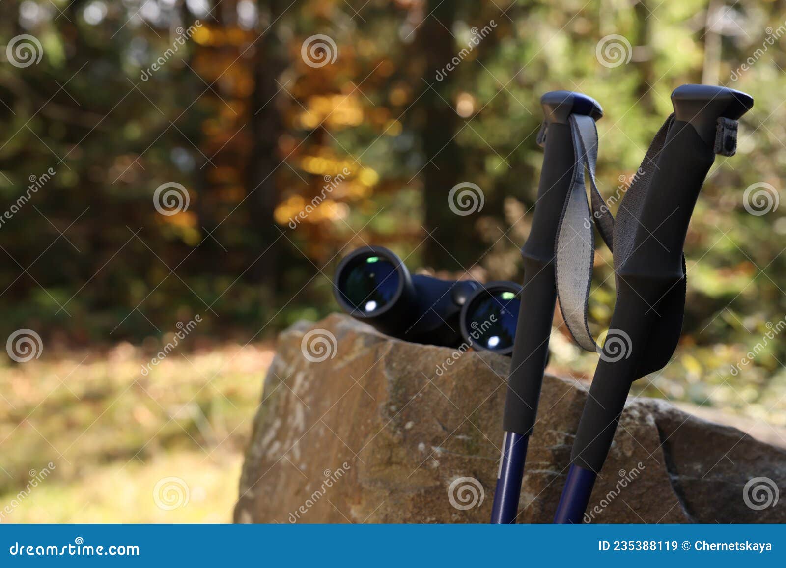 Binoculars and Trekking Poles in Forest on Sunny Day. Space for Text