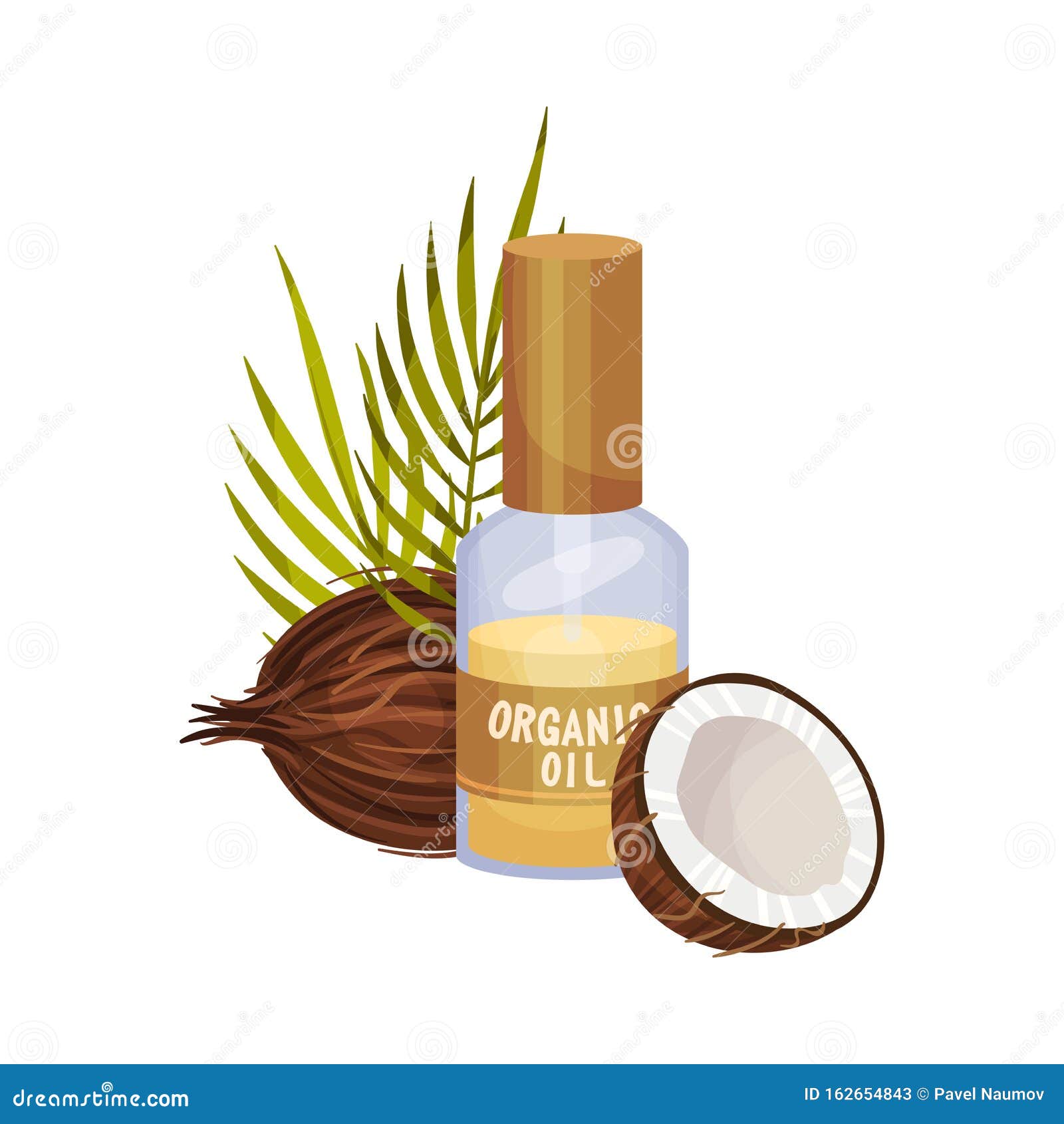 Bio Coconut Oil Bottle and Cross Cut Nut Vector Illustration Isolated on  White Background Stock Vector - Illustration of natural, gourmet: 162654843