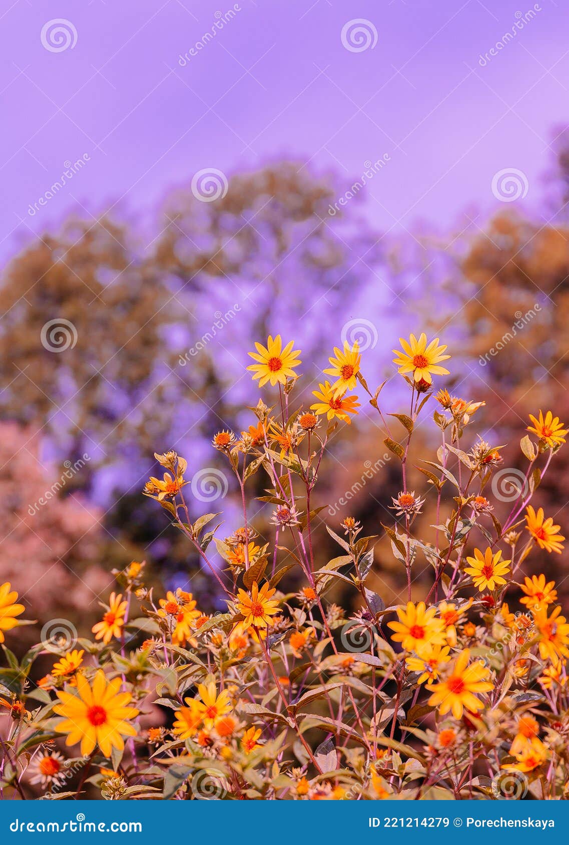 Bio Eco Nature Plant Lover Concept Background. Yellow Flowers Field.  Stylish Vertical Wallpaper. Travel Slovenia Stock Image - Image of natural,  garden: 221214279