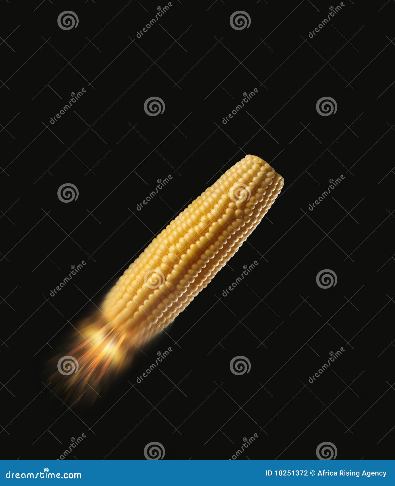 Bio Fuel Corn Cob stock photo. Image of vegetable, concept 10251372