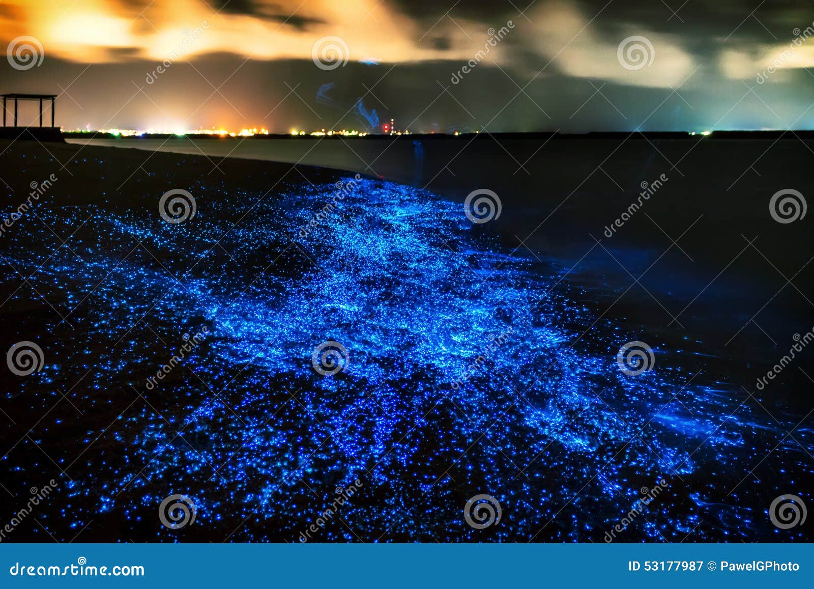 bio luminescence. illumination of plankton at maldives. many bri
