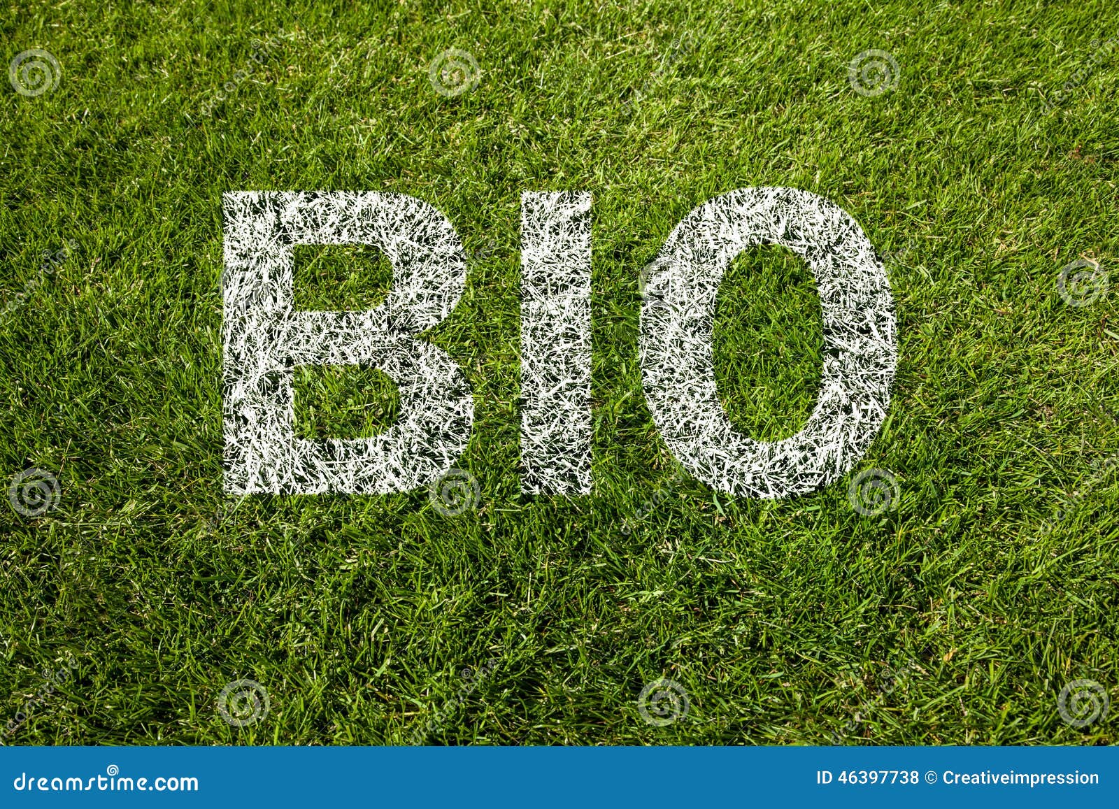 Bio text written on grass stock photo. Image of writing 46397738