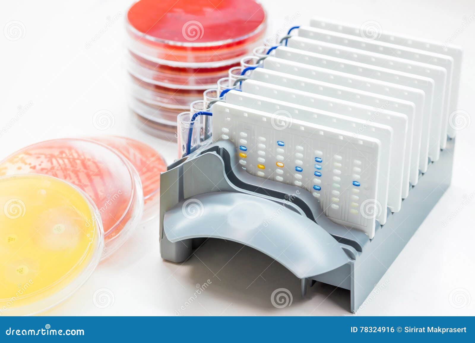 biochem test automate for identified pathogen in microbiology r