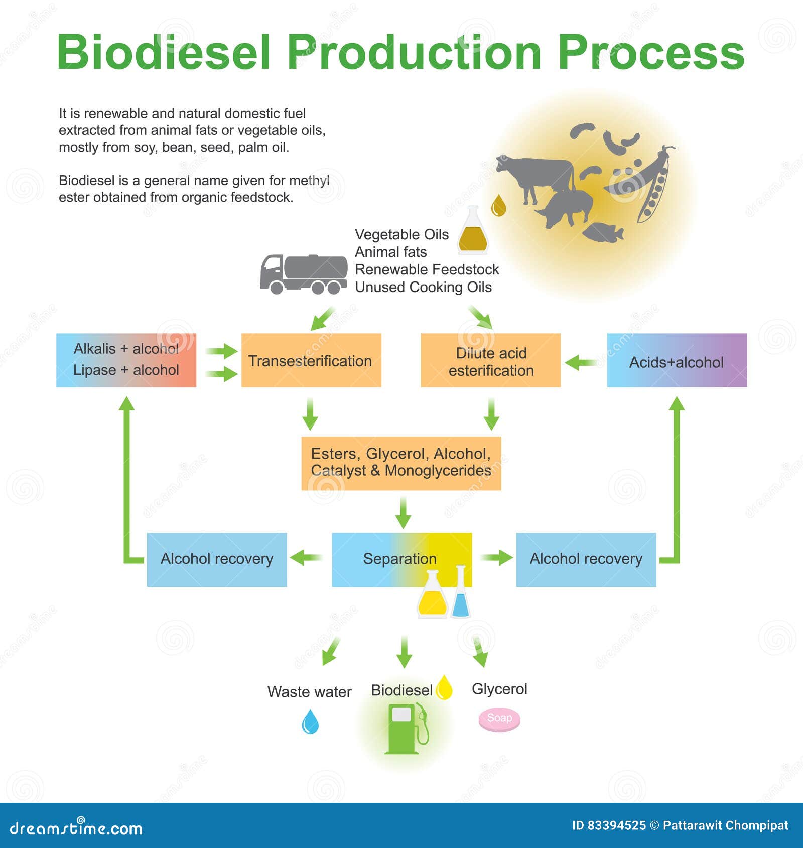 BiodieselProduktionsverfahren Vektor Abbildung Illustration von