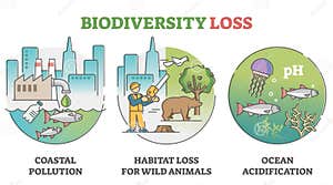 Biodiversity Cartoons Illustrations Vector Stock Images 162977 