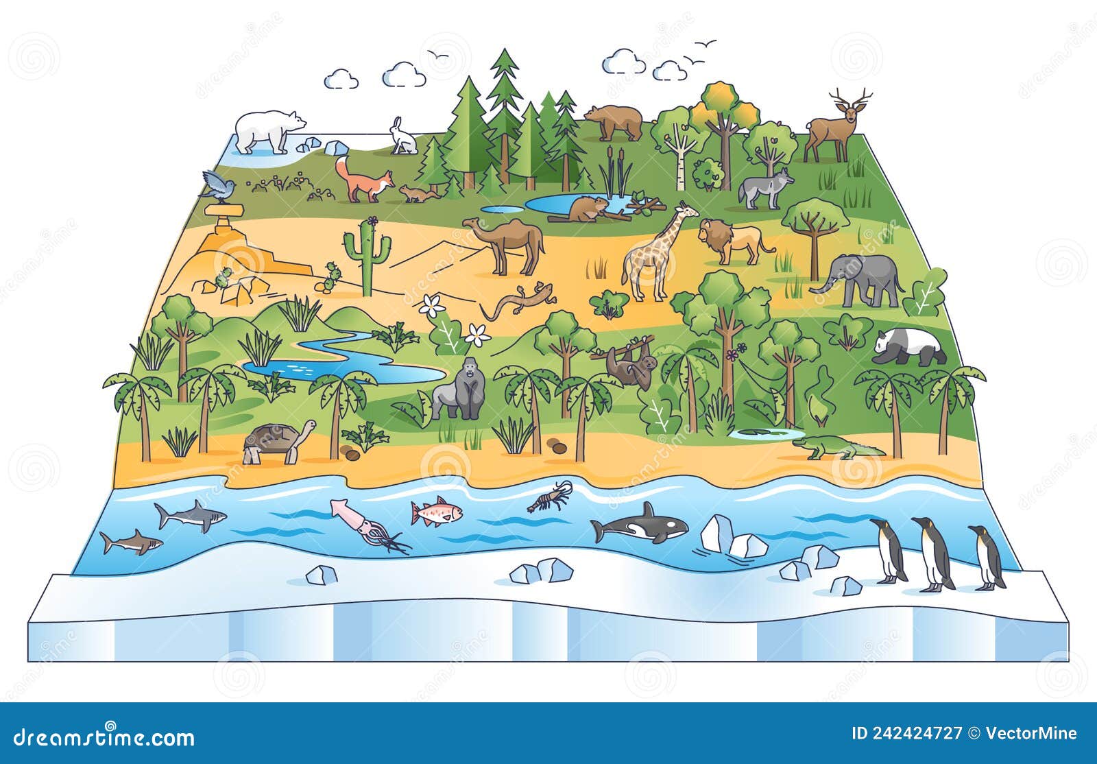 biodiversity scene with flora and fauna ecological zones outline diagram