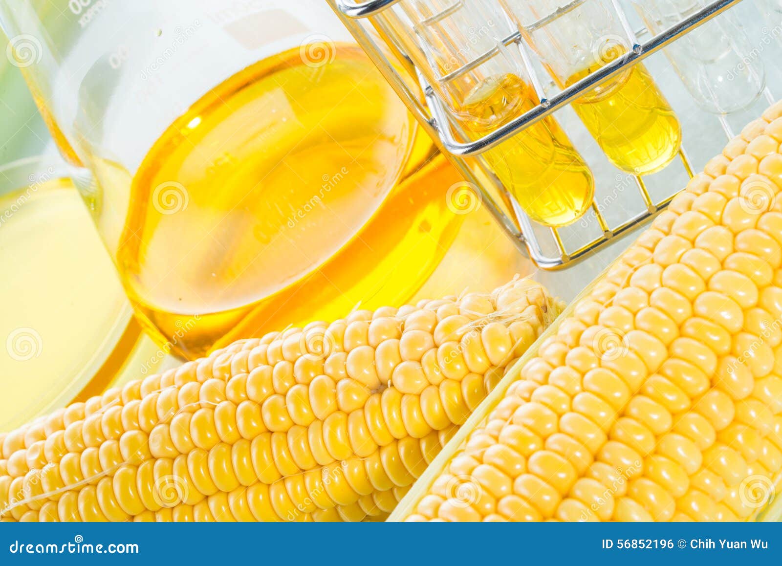 Biofuel or Corn Syrup Sweetcorn Stock Photo Image of biochemistry
