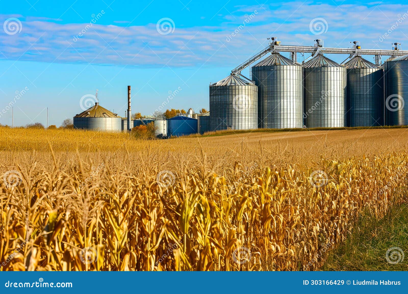 Biofuel Production Facility Converting Corn or Sugarcane into Ethanol