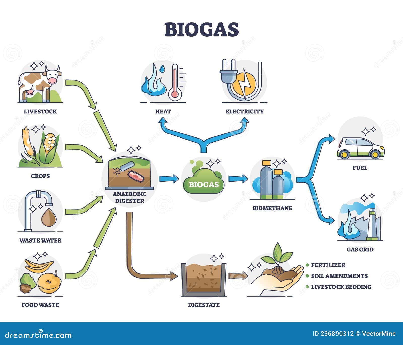 biogas or bio gas division for energy consumption and sources outline diagram