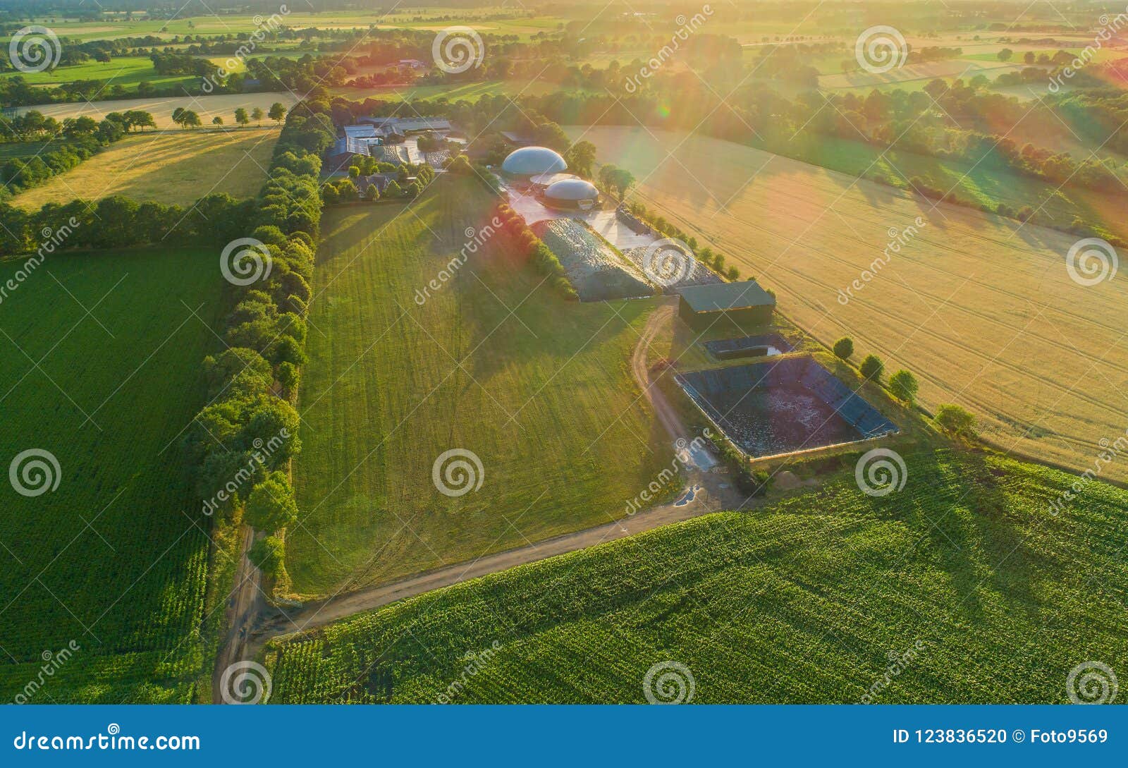 biogas plant for power generation and energy