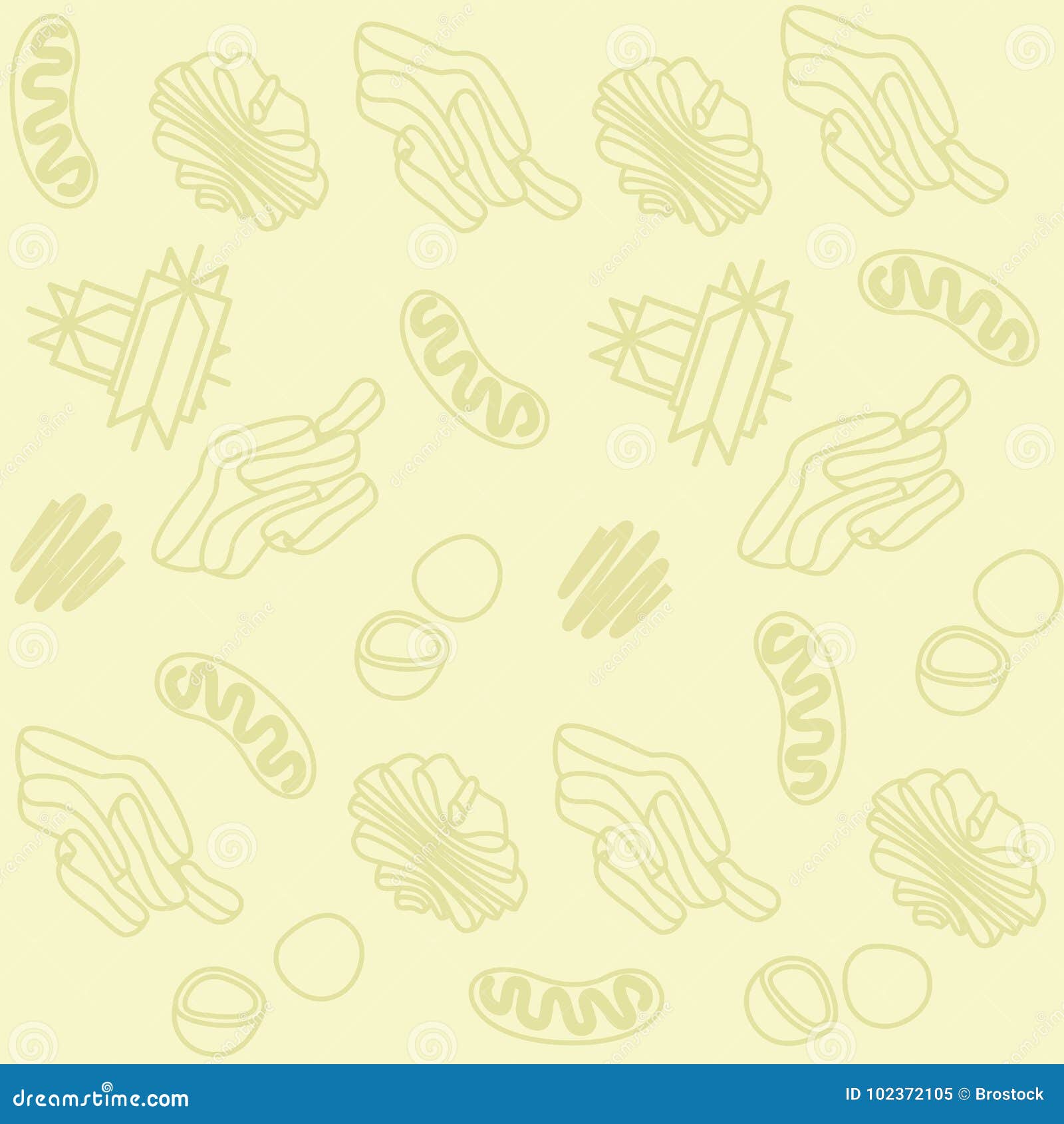 Biología Del Fondo De La Célula Ilustración del Vector - Ilustración de vector, cloroplasto: 102372105 Biología Del Fondo De La Célula Ilustración del Vector - Ilustración de vector, cloroplasto: 102372105
