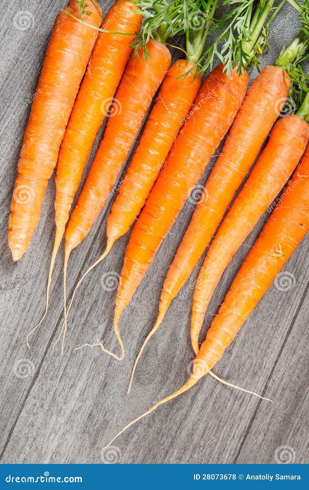 Biological carrots stock photo. Image of sweet, fresh 28073678