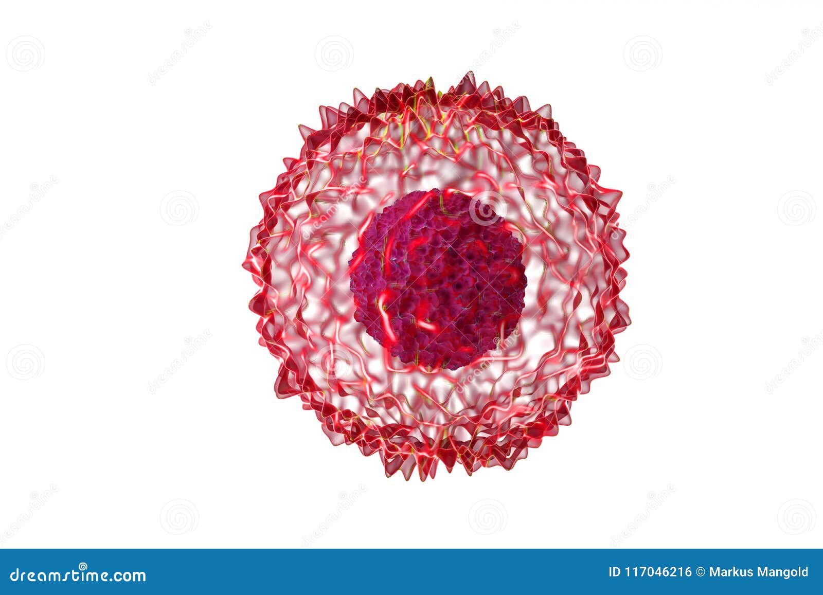 Biological Cell Isolated on Whithe Background Microscope Stock