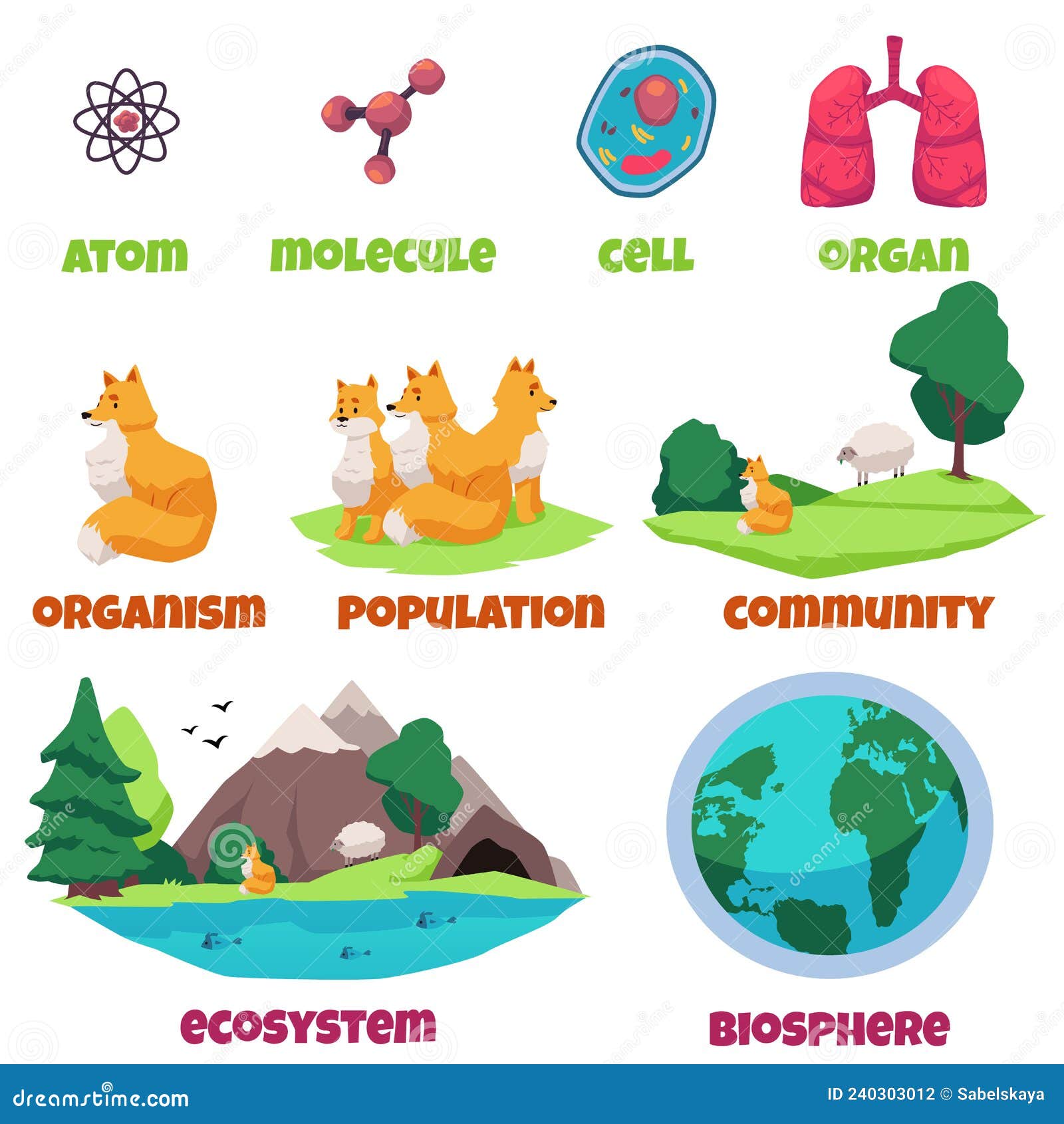 Protozoa Diversity Image, Image License