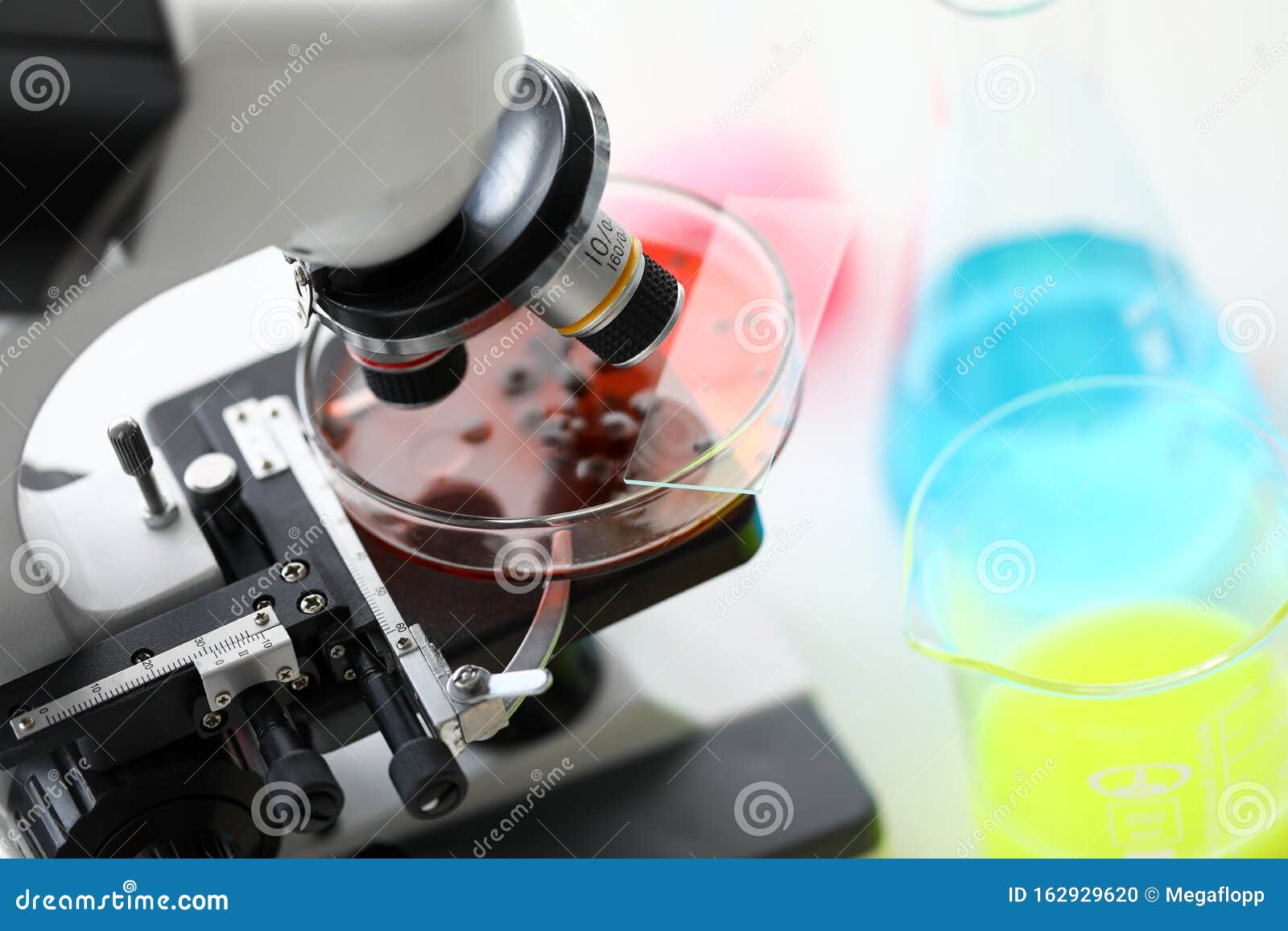 Biological Material in Petri Dish Standing on Microscope Stock Photo