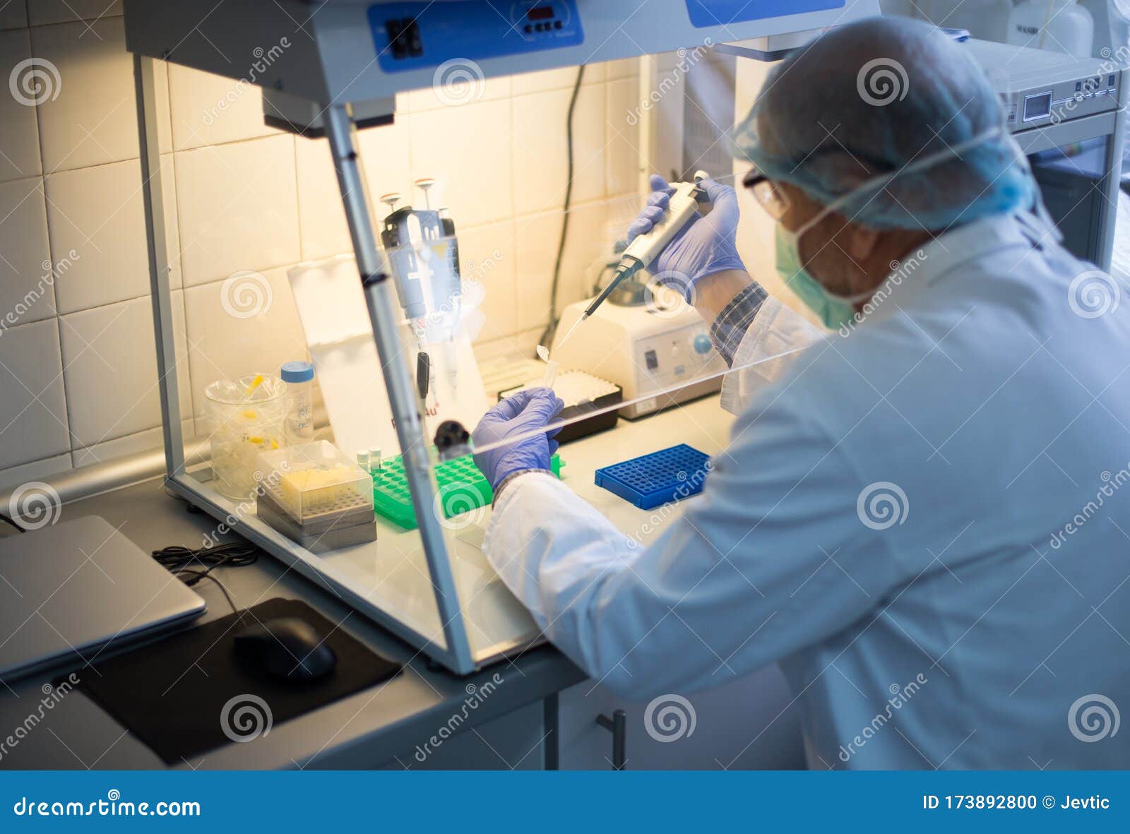 Biologist Working in Glove Box in Laboratory Stock Photo Image of