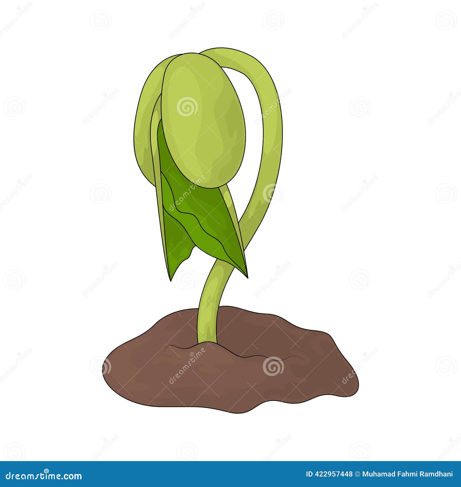 Germination , plant growth transparent background PNG clipart | HiClipart, image size:1600x1690