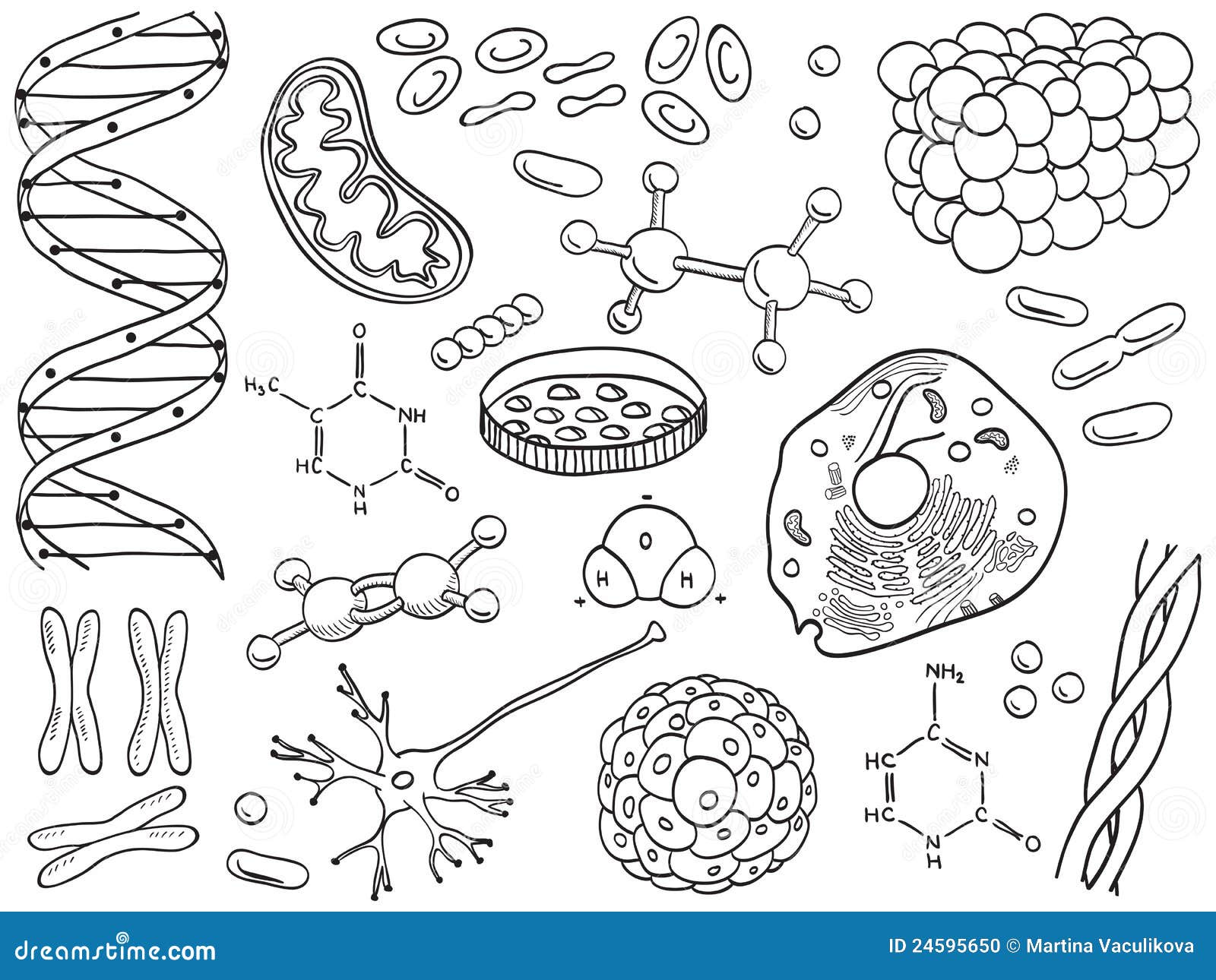 biology and chemistry icons 